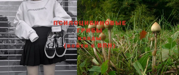 не бодяженный Бугульма