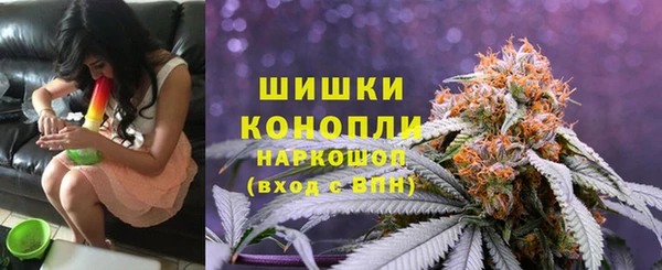 дмт Козельск