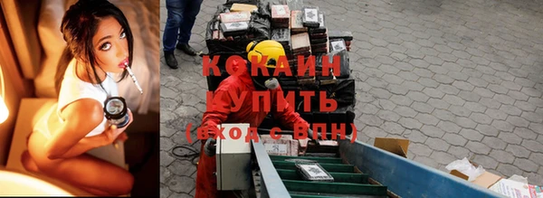 винт Верея