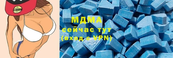 мдпв Инсар