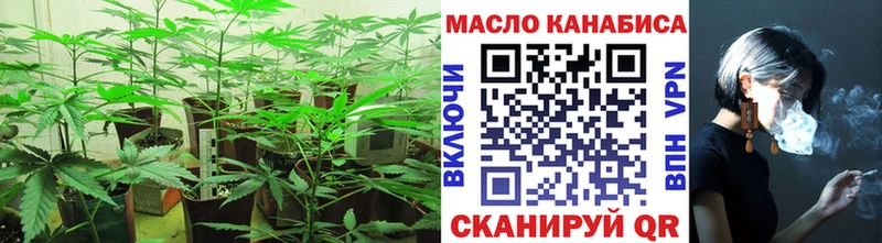 дарнет шоп  Кизляр  ТГК вейп с тгк 