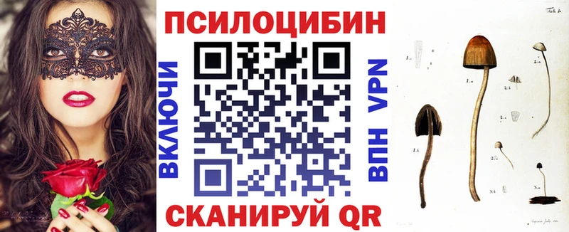 купить закладку  Кизляр  Галлюциногенные грибы ЛСД 