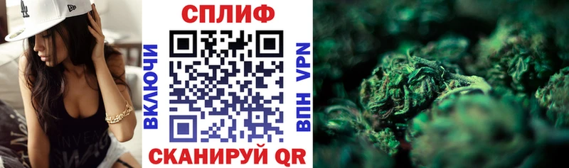 наркотики  Кизляр  Каннабис семена 